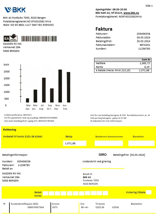 Norway BKK electricity business utility bill template in Word and PDF formats, good for address prove